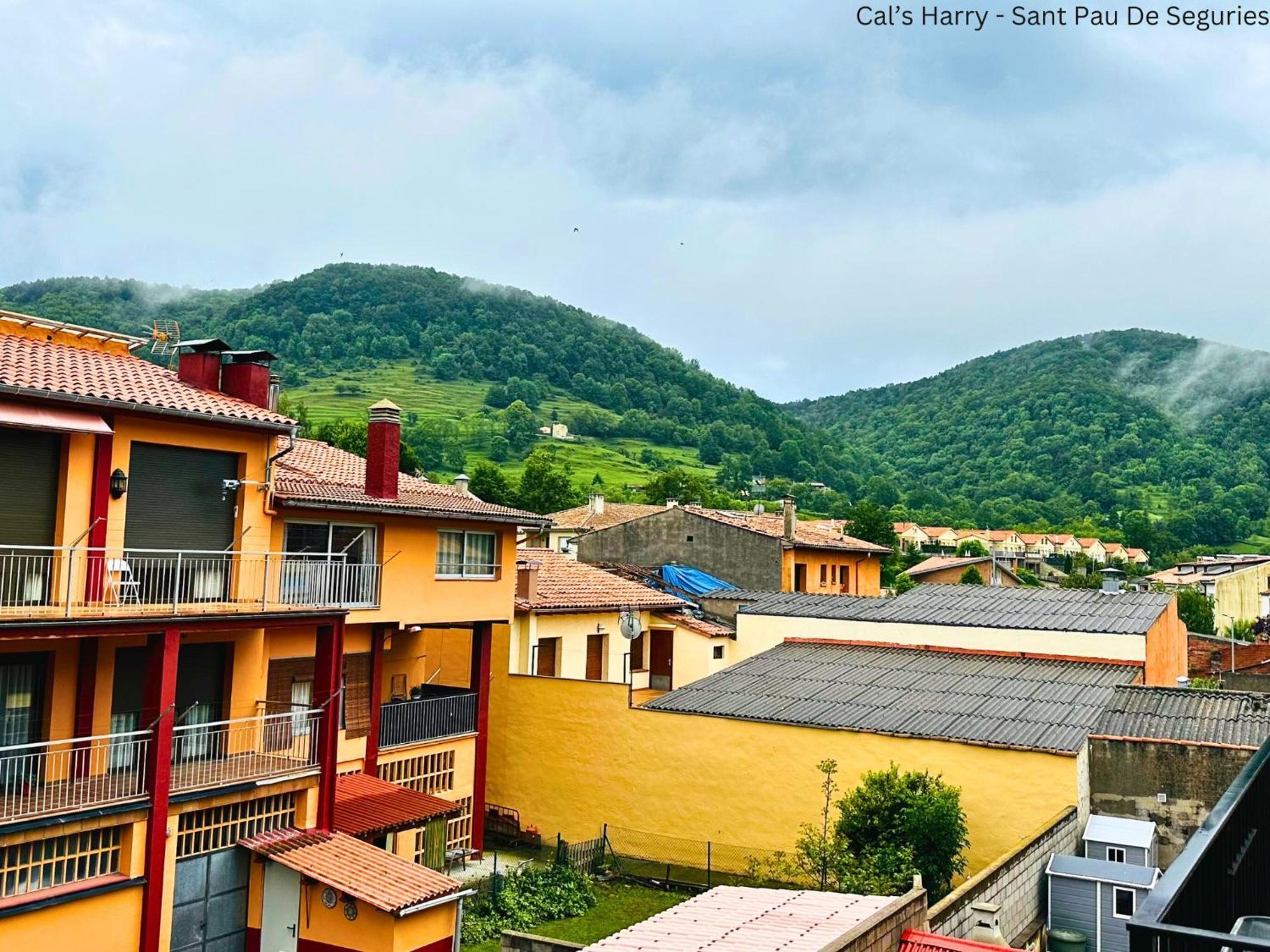 Cal Harrys - La Mejor Casa De Vacaciones En Pyrenees Con Vistas A La Montana 圣保德塞古里斯 外观 照片
