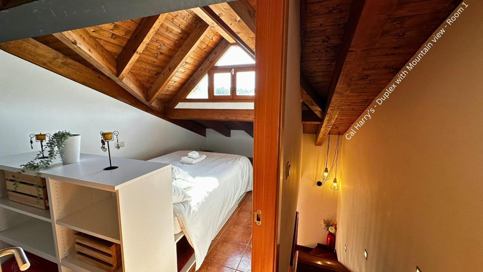 Cal Harrys - La Mejor Casa De Vacaciones En Pyrenees Con Vistas A La Montana 圣保德塞古里斯 外观 照片