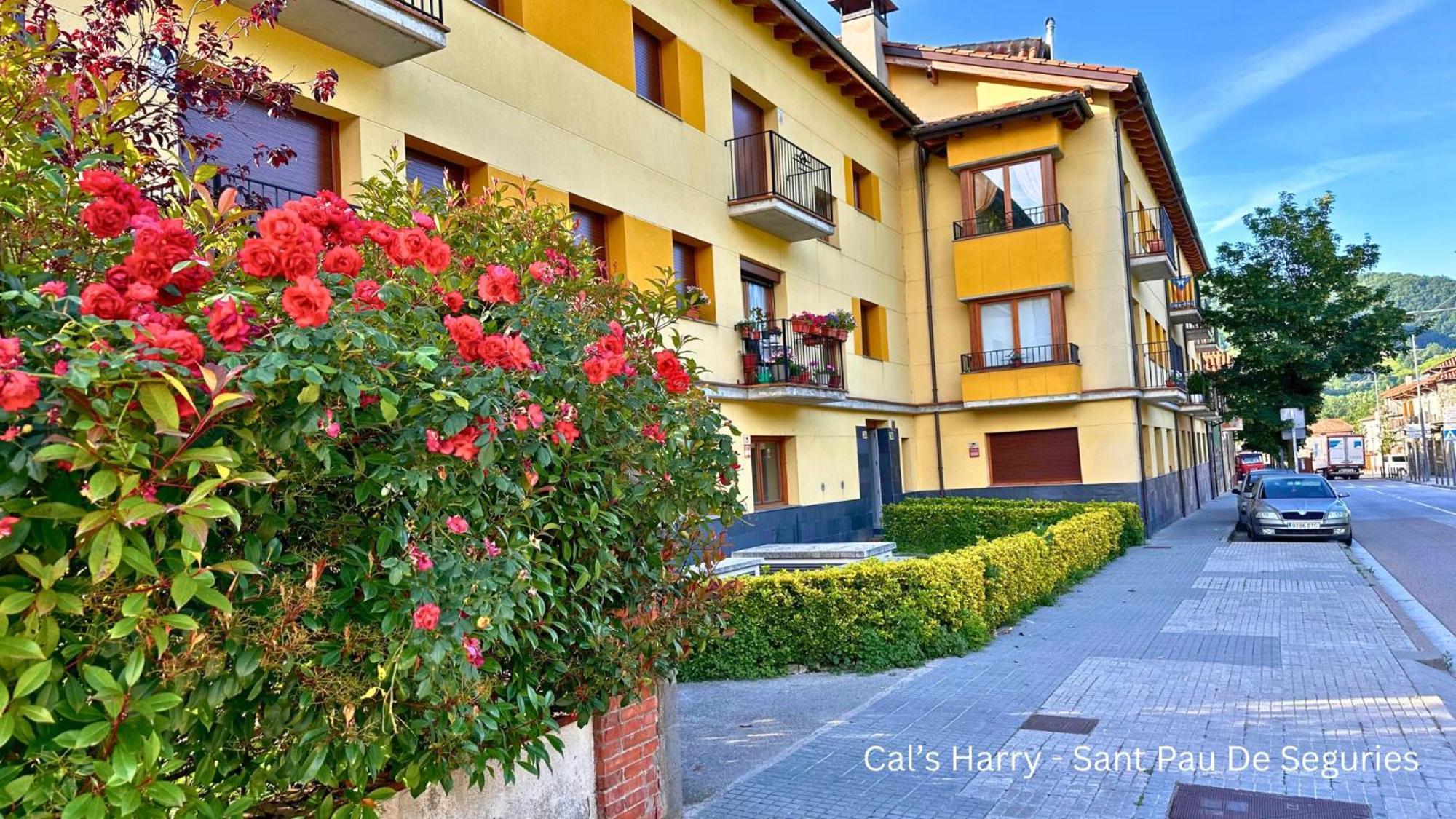 Cal Harrys - La Mejor Casa De Vacaciones En Pyrenees Con Vistas A La Montana 圣保德塞古里斯 外观 照片